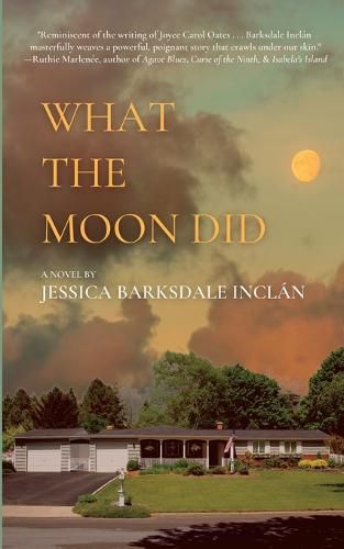 Cover image for What the Moon Did