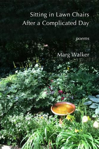 Cover image for Sitting in Lawn Chairs After a Complicated Day: Poems