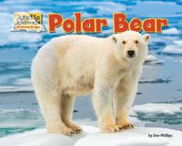 Cover image for Polar Bear