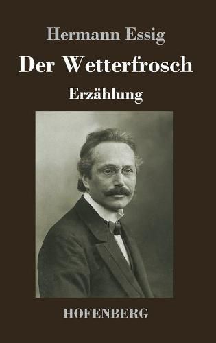 Cover image for Der Wetterfrosch: Erzahlung