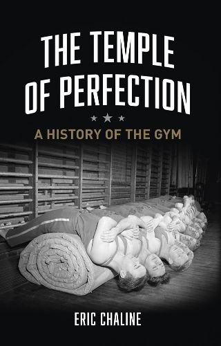 Cover image for The Temple of Perfection