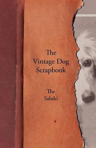 Cover image for The Vintage Dog Scrapbook - The Saluki