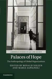 Cover image for Palaces of Hope: The Anthropology of Global Organizations