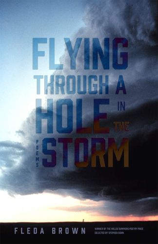 Cover image for Flying through a Hole in the Storm: Poems