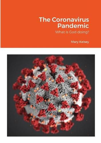 Cover image for The Coronavirus Pandemic