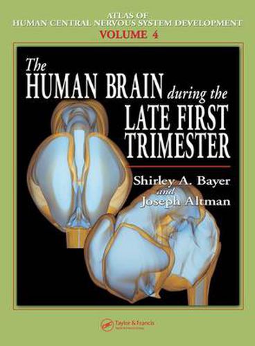 Cover image for The Human Brain During the Late First Trimester