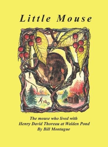 Cover image for Little Mouse