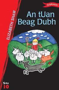 Cover image for An tUan Beag Dubh