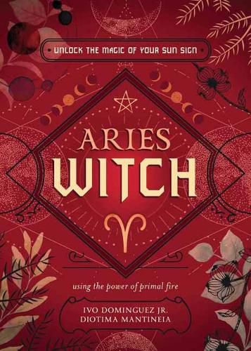 Cover image for The Aries Witch