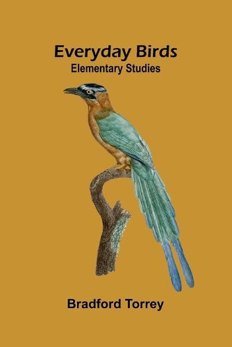 Cover image for The Freedmens Book (Edition1)