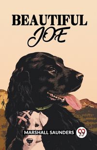 Cover image for Beautiful Joe