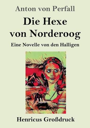 Cover image for Die Hexe von Norderoog (Grossdruck): Eine Novelle von den Halligen