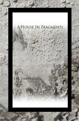 Cover image for A House in Fragments