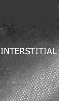 Cover image for interstitial