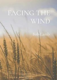 Cover image for Facing the Wind