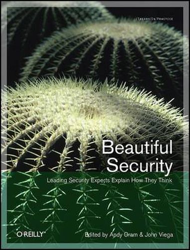 Cover image for Beautiful Security