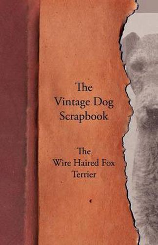 Cover image for The Vintage Dog Scrapbook - The Wire Haired Fox Terrier