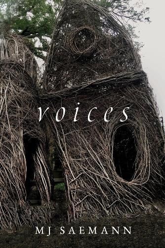 Cover image for Voices