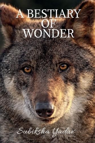 Cover image for A Bestiary of Wonder