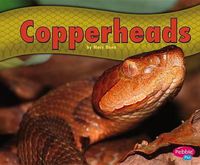 Cover image for Copperheads