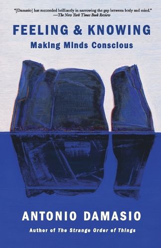 Cover image for Feeling & Knowing: Making Minds Conscious