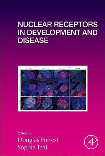 Cover image for Nuclear Receptors in Development and Disease