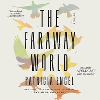 Cover image for The Faraway World: Stories