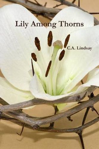 Cover image for Lily Among Thorns