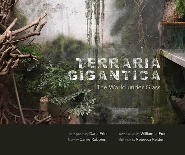 Cover image for Terraria Gigantica: The World under Glass