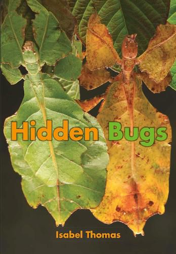 Cover image for Hidden Bugs