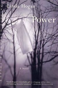 Cover image for Power: A Novel