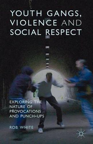 Cover image for Youth Gangs, Violence and Social Respect: Exploring the Nature of Provocations and Punch-Ups