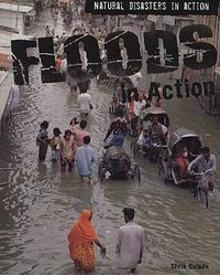 Cover image for Floods in Action