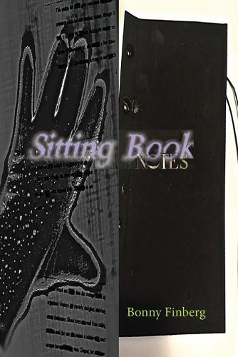 Cover image for Sitting Book