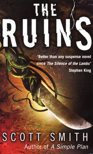 Cover image for The Ruins