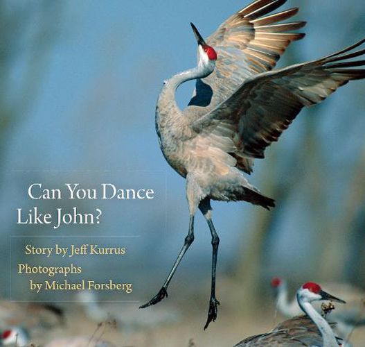 Cover image for Can You Dance Like John?