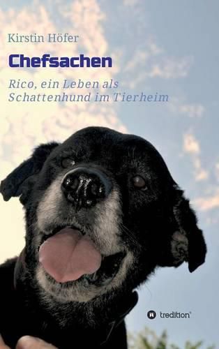 Cover image for Chefsachen
