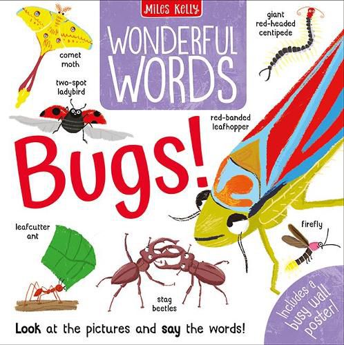 Cover image for Wonderful Words: Bugs!