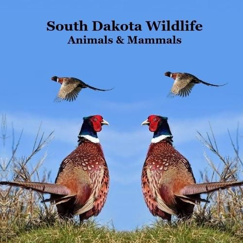 Cover image for South Dakota Animals and Mammals Wildlife Book