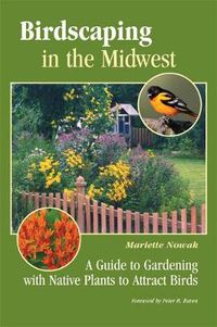 Cover image for Birdscaping in the Midwest: A Guide to Gardening with Native Plants to Attract Birds