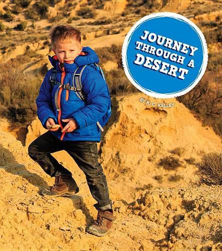 Cover image for Journey Through a Desert