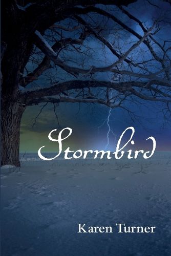 Cover image for Stormbird