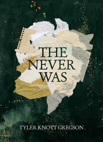 Cover image for The Never Was