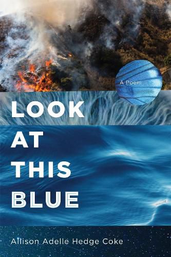 Cover image for Look at This Blue