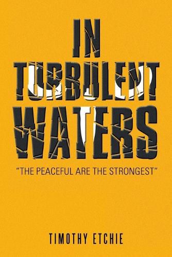 Cover image for In Turbulent Waters