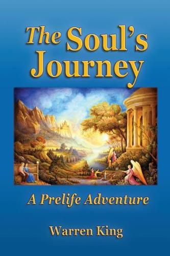 Cover image for The Soul's Journey: A Pre-Life Adventure - Narayan's Preparation for His Next Earthly Life