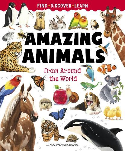 Cover image for Big Book of Amazing Animals