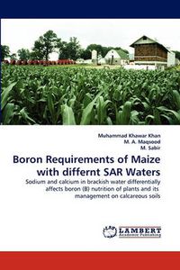 Cover image for Boron Requirements of Maize with differnt SAR Waters