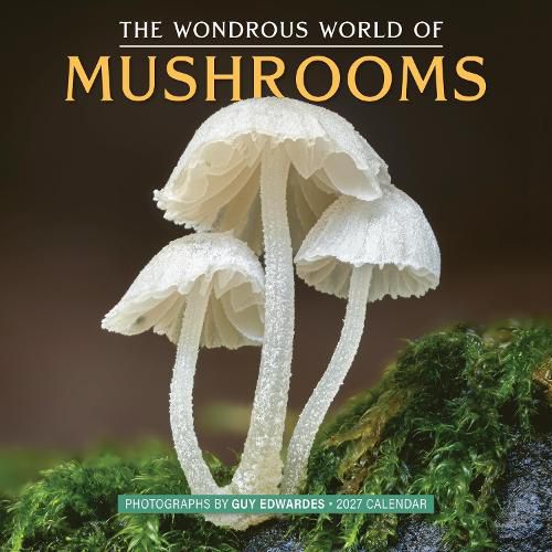 Cover image for The Wondrous World of Mushrooms Wall Calendar 2027