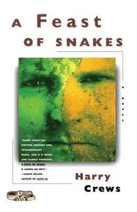Cover image for A Feast of Snakes